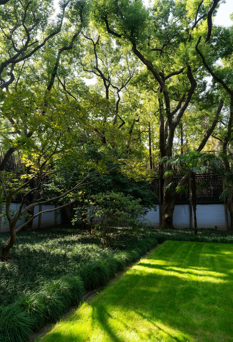 Landscaped garden with lawn and trees
